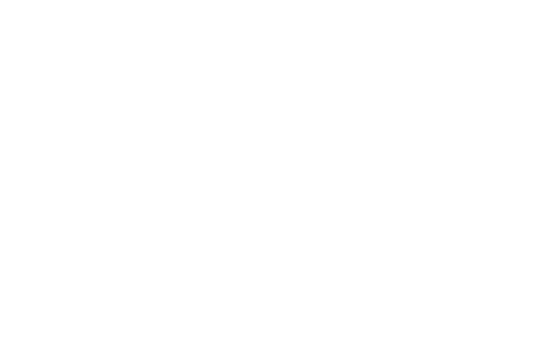 Prima Zoom